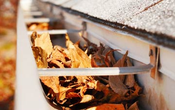 Causeway End gutter cleaning companies