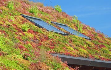 Causeway End living roof systems