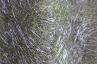 Causeway End fibreglass roof work